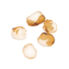 amarantus_ekspandowany