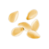 sezam