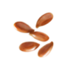 siemie_lniane