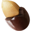 geröstete Erdnüsse in Milchschokolade ohne Zuckerzusatz