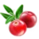 Getrocknete Moosbeeren